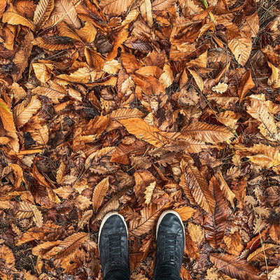 Rando automne à 1h au sud de Lyon
