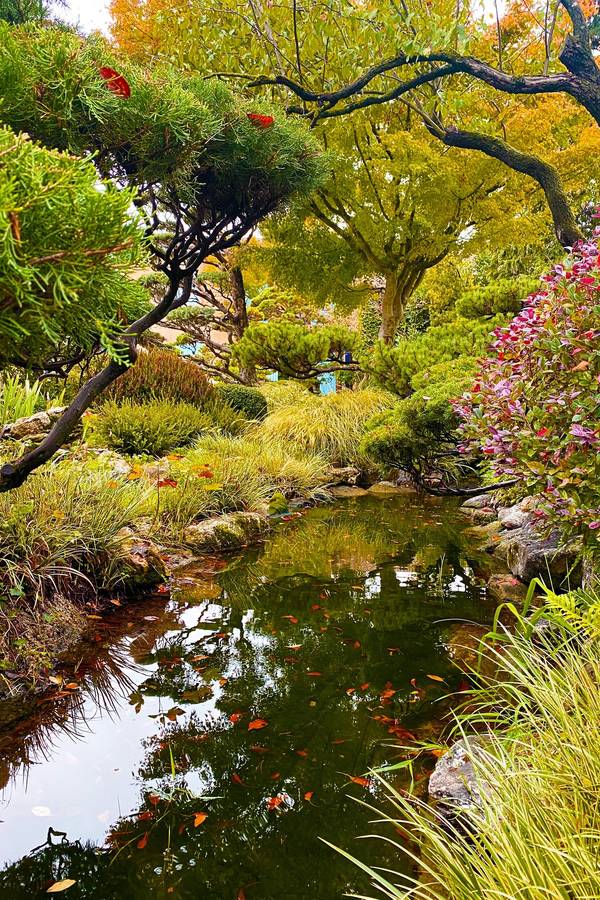 Levé du jour sur le Jardin Zen