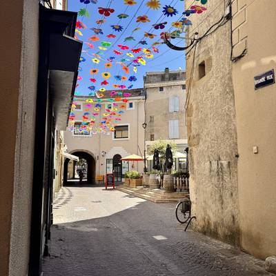 Sentier des tours - vue sur Tournon et Tain
