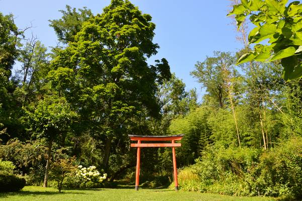 Le Jardin Zen d'Erik Borja