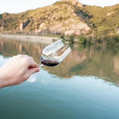 dégustation vin sur le rhone 