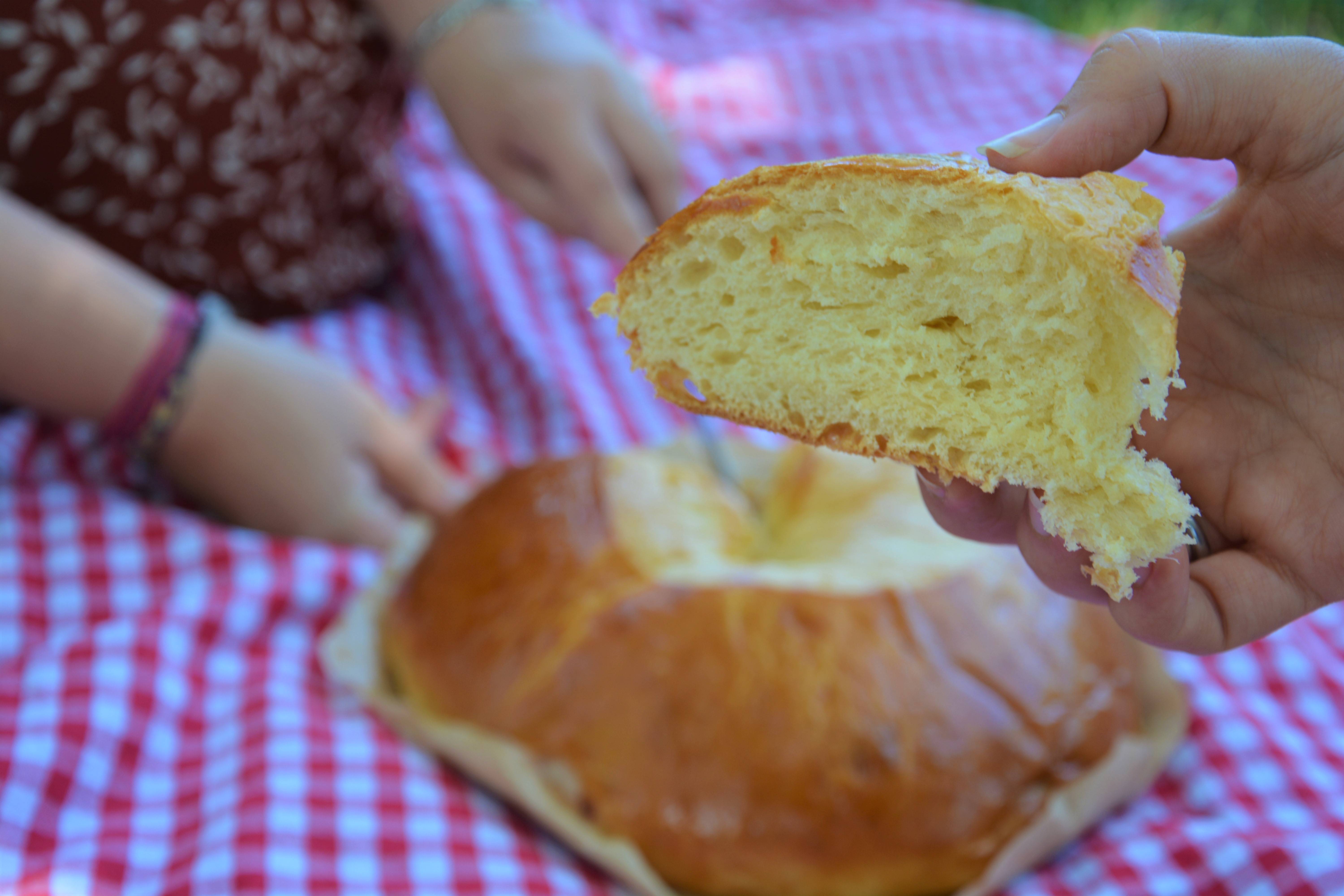 Pogne donatienne  Maison ronjat