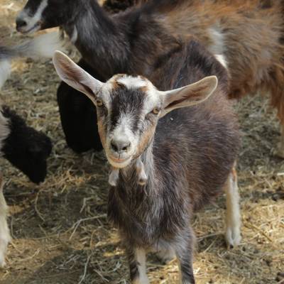 Rando automne à 1h au sud de Lyon