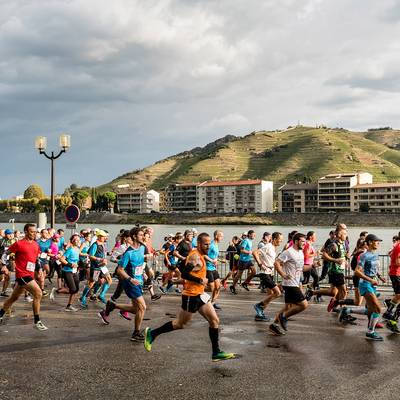 Dégustation sur la colline de l'Hermitage à 1h au sud de Lyon