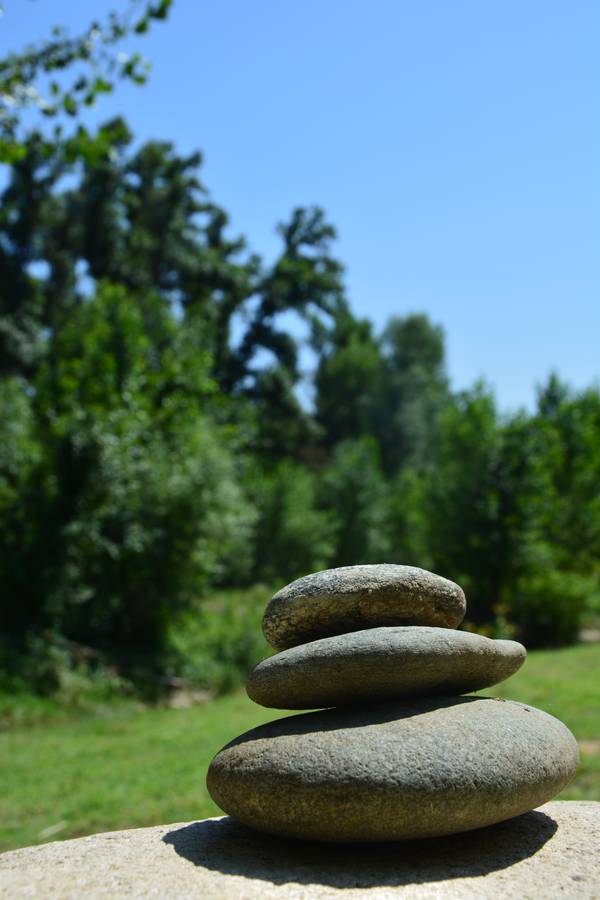 Le Jardin Zen à l'automne