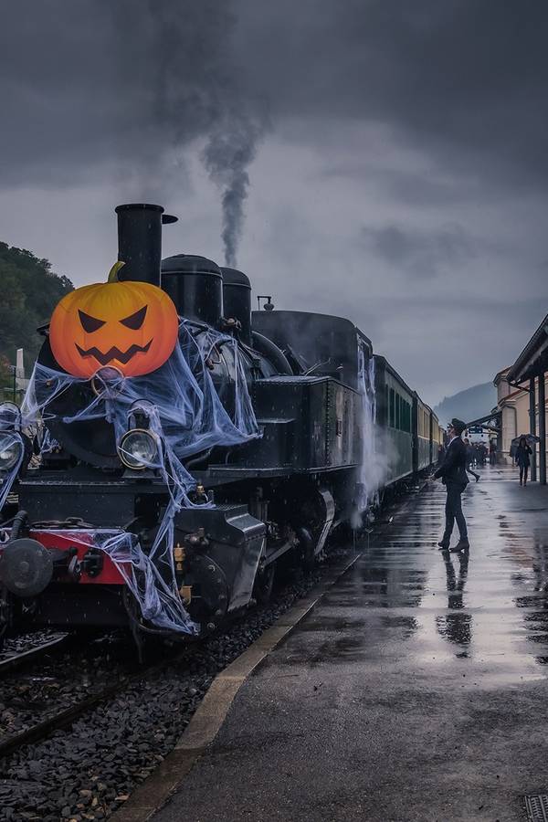 Le train à Vapeur en Ardèche Hermitage