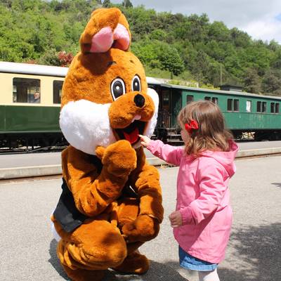 Halloween au Train de l'Ardèche
